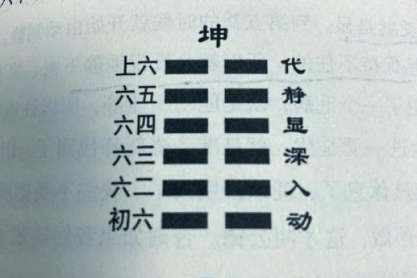 探秘坤造：女性命理的独特魅力与智慧