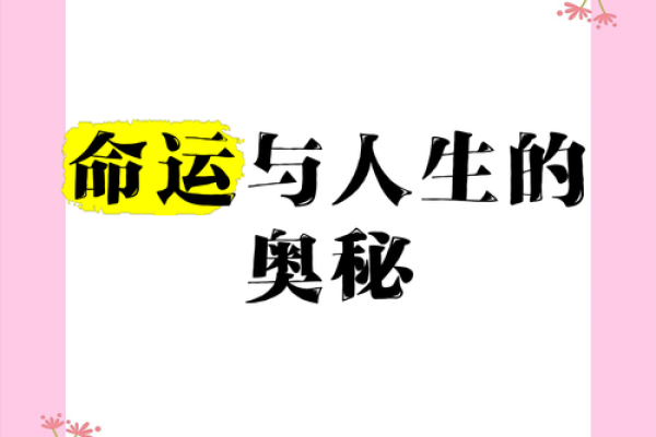 1963年出生的命理解析：命运中的机遇与挑战