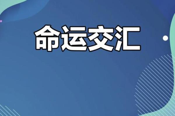 2033年：命运与机遇的交织之年，如何把握方向？
