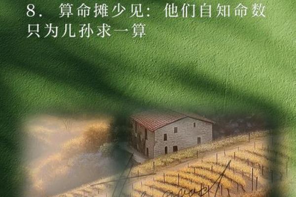 算命揭秘：探寻你命中注定的命运与人生轨迹