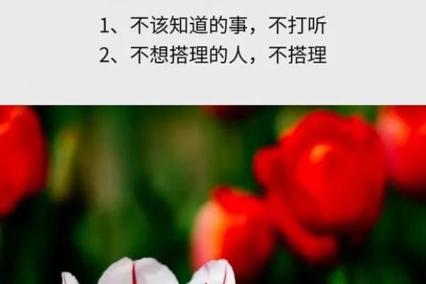 女人的格局与命运：如何提升自我实现人生理想？