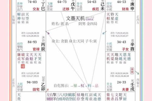 揭秘紫薇斗数：年命和命运解析，助你把握未来！