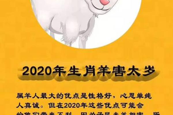 2025年的生肖与命理：探索兔年带来的机遇与挑战