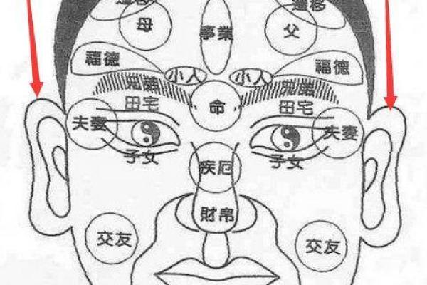 面相解析：识别富贵命女生的独特特征