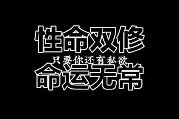 揭开不断欠债者命运的真相，探寻人生的转变之道！
