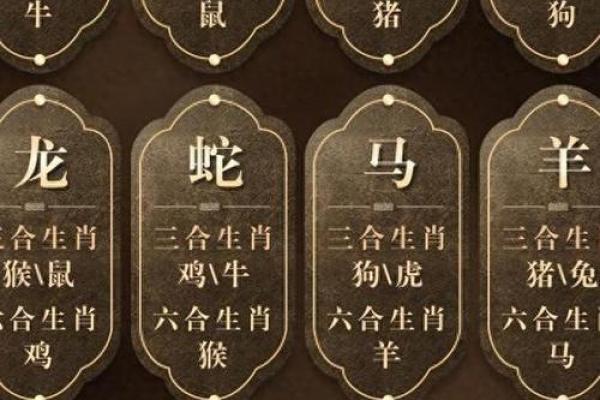 探秘命运之谜：为何有的女性运势亨通、有的则命途多舛？