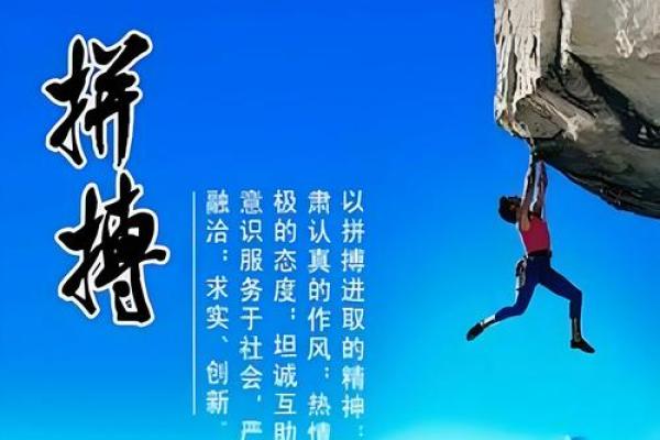 城墙根扎根，生命的坚韧与希望