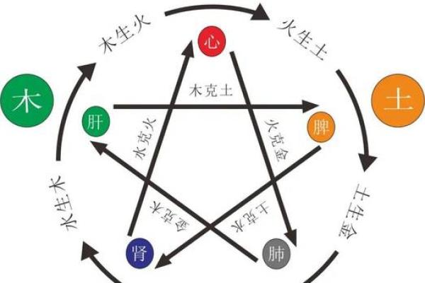 金木水火土命与命理相配解析，探索五行相生的和谐美好