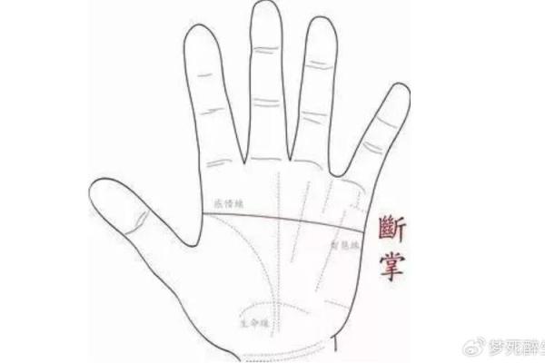 断掌纹命格解析：揭示人生轨迹的神秘线条
