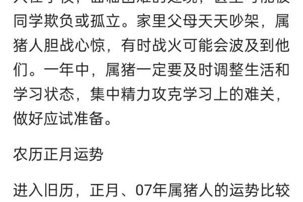 2080年的命运之年：探索未来的无限可能性与挑战