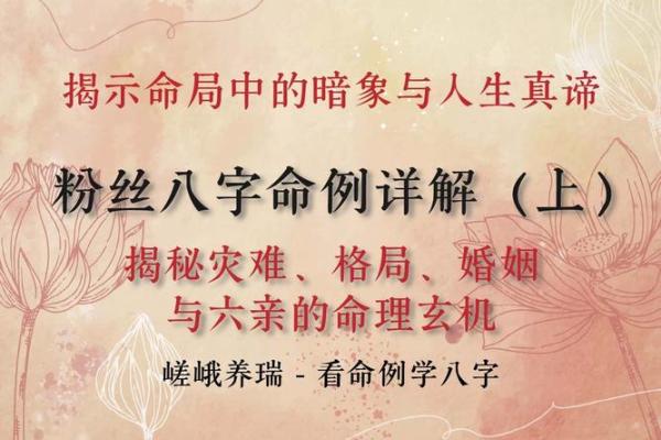 解读出马人的命理智慧：从命局看人生轨迹与和谐之道