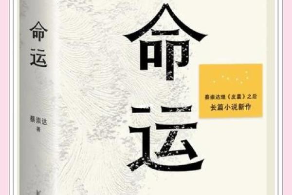 1973年出生的人：命运与机遇的交织之路