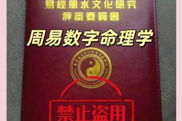 命理学的奥秘：解读人生的密码与智慧之道