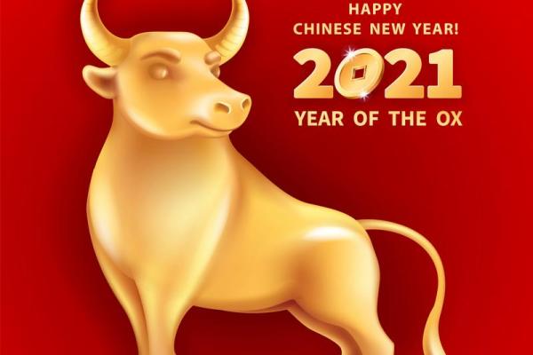 2021牛年生人的性格特点及运势分析：如何在牛年中发挥潜力！
