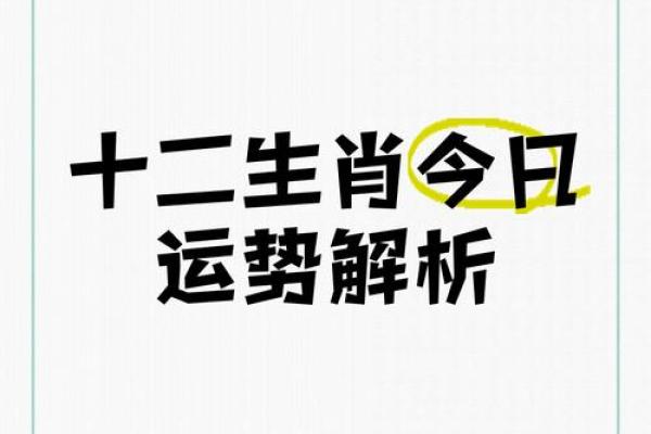 2022年属相解析：他们的命运与运势变化分析