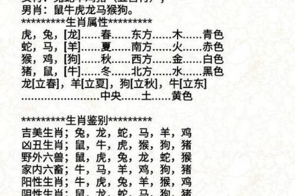 探索55属相背后的命理智慧，揭示人生方向与未来潜能