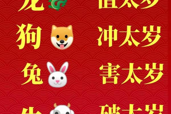 探索55属相背后的命理智慧，揭示人生方向与未来潜能