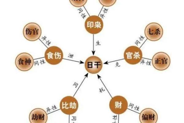 1978年的属相命理解析：揭秘你的命运之钥