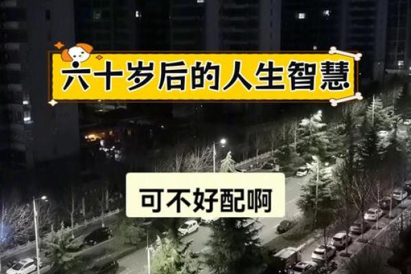 61岁是什么命？探究这个年纪的生命智慧与生活态度