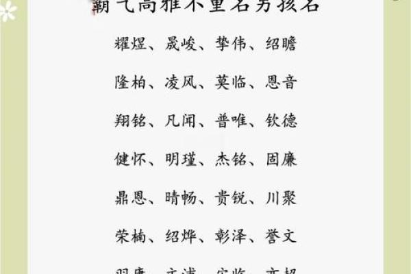 揭秘鼠年多米小名的命运与性格特征