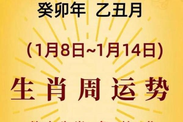 壬辰年：探秘生肖与命理的神秘交织
