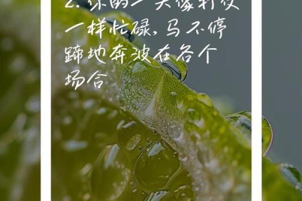 走路迟、说话迟：你是否也在与时间赛跑？