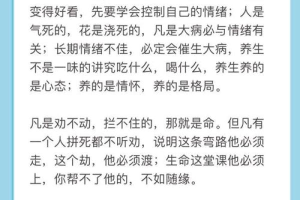 一命满命的深刻内涵与人生哲学探讨