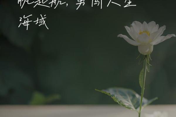 水命之人如何扬帆起航，平稳人生航程