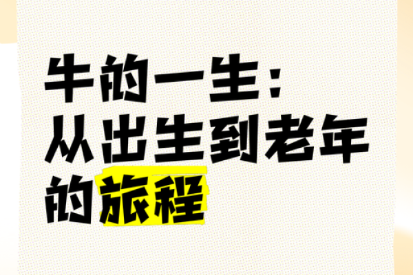 73年癸丑年，探寻牛年出生者的命运特征与人生之路