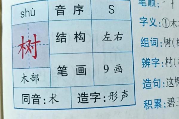 命的结构与部首探讨：揭示命字背后的深意与文化内涵