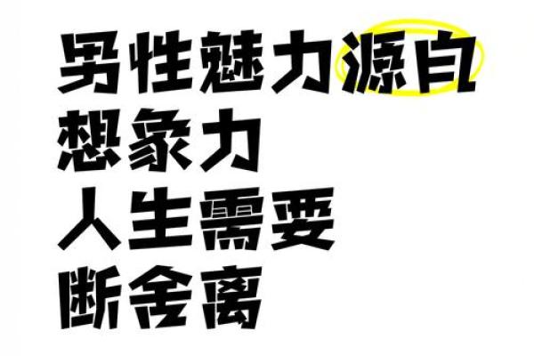 乙丑男命的优雅人生：探索其独特优势与魅力