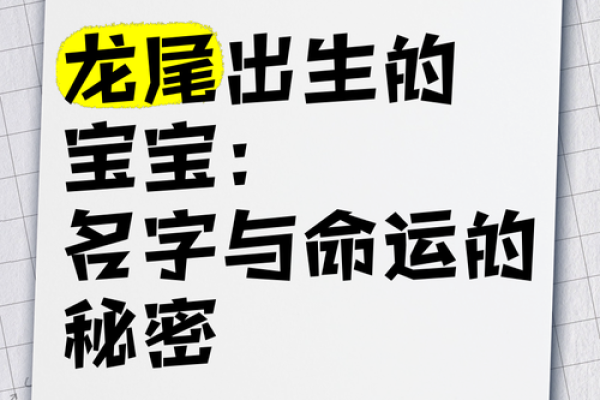 不同出生日期的宝宝命运解析：了解你的孩子未来的秘密