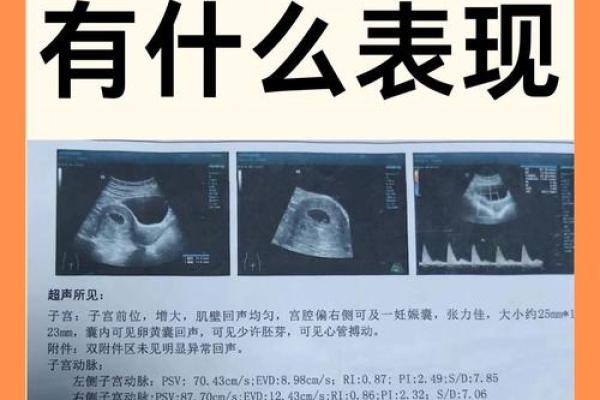 生孩子死了是什么命？探寻生命的奇妙与无常