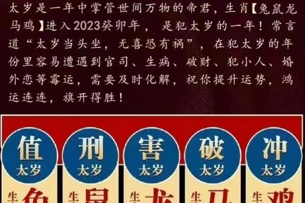 2023年属鸡宝宝的命运与未来发展分析