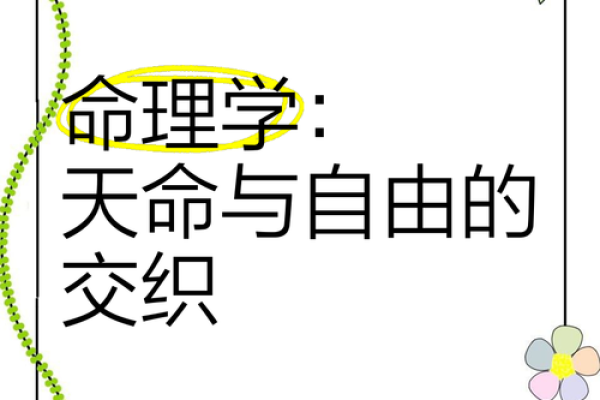 1976年正月十六的命运：探索命理与人生的交织之路