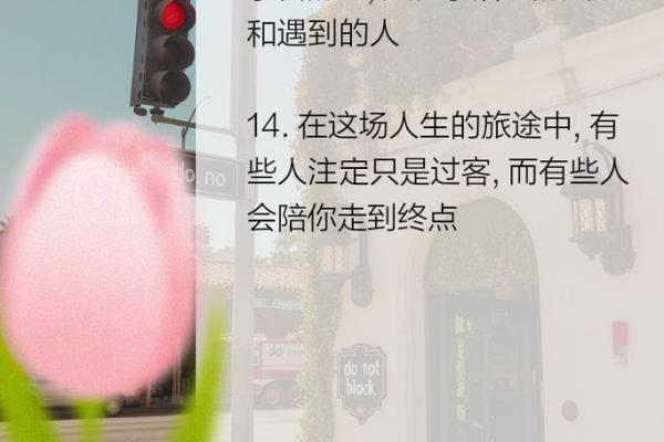 女人兰花命：优雅而坚韧的人生旅程