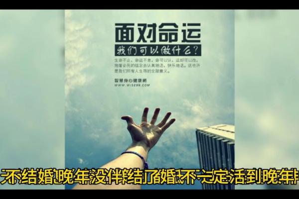 1955年的命运：追寻人生的意义与选择