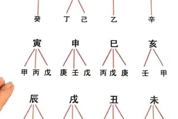 命理学中的地势解析：如何通过地势改善生活运势