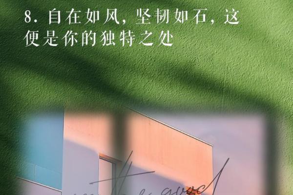 生命至上：在喧嚣的生活中寻找自我价值的重要性