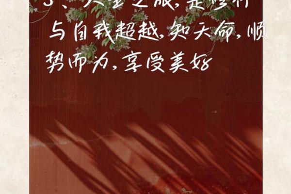 探寻天命与宿命的奥秘：人生的真谛从何而来？