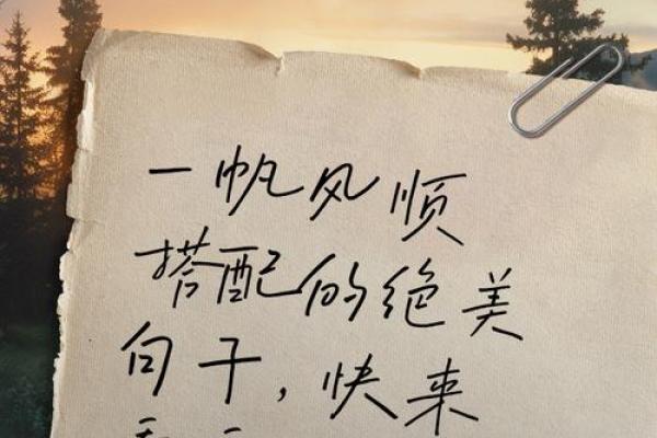 木鸡命的职业选择：适合展翅高飞的梦想人生