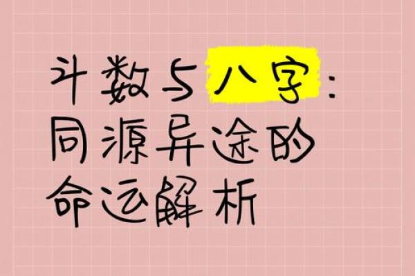 揭开2004年的命运之谜：八字解析与人生启示