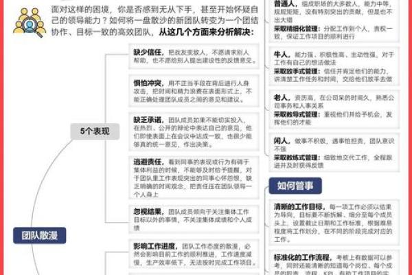 金命人的发展方向与人生策略探析
