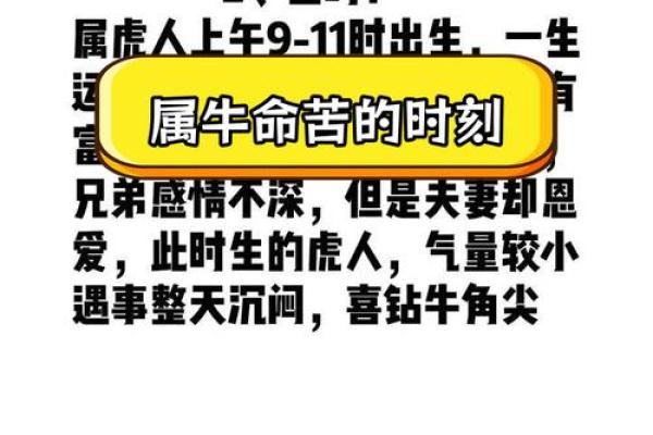 属牛人的性格分析与命运解读：坚韧与踏实的力量
