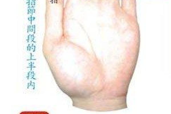 如何判断一个人是否有大明星命？揭示命运背后的秘密