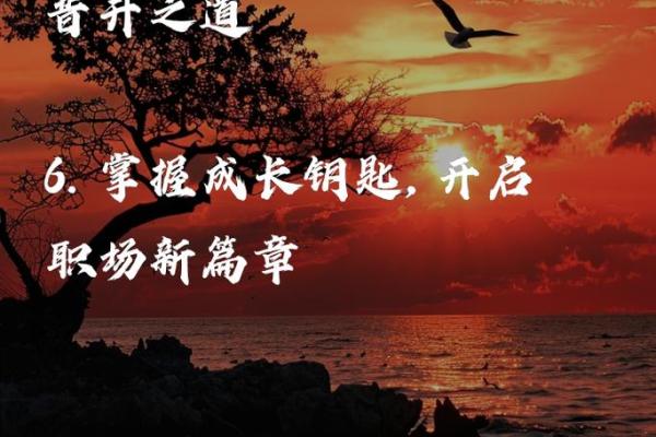 土命女士适合哪些行业，助你职场发展更顺利！