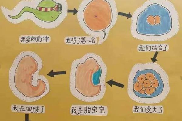 探秘“命”的奥秘：一等命与二等命的深层解读