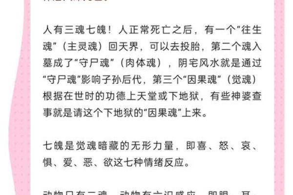 探秘“命”的奥秘：一等命与二等命的深层解读