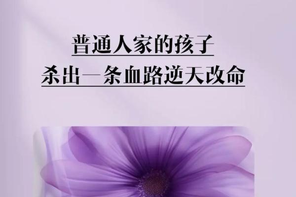 探索命运的旋律：什么样的人，什么样的命？