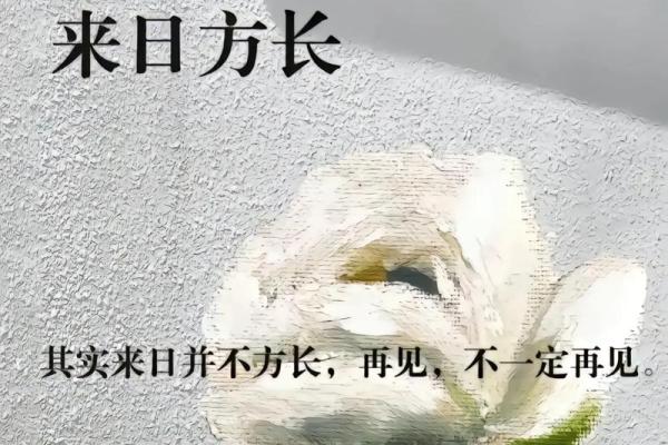 躲得过风雨，却躲不过命运的安排